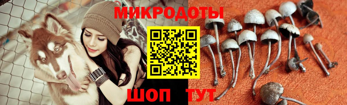 Галлюциногенные грибы мухоморы  Галлюциногенные грибы MAGIC MUSHROOMS  Вход с VPN  Кулебаки 