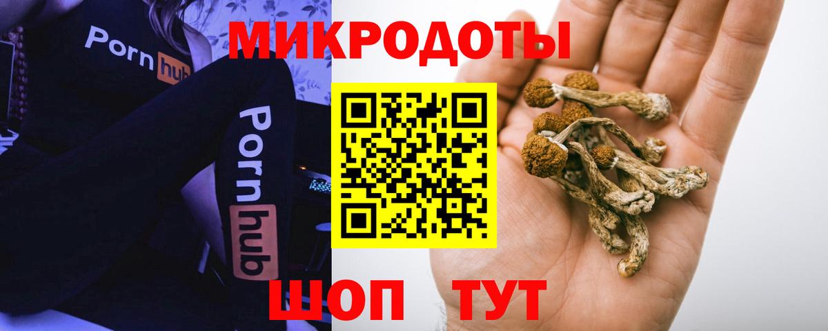 Галлюциногенные грибы мицелий Кулебаки